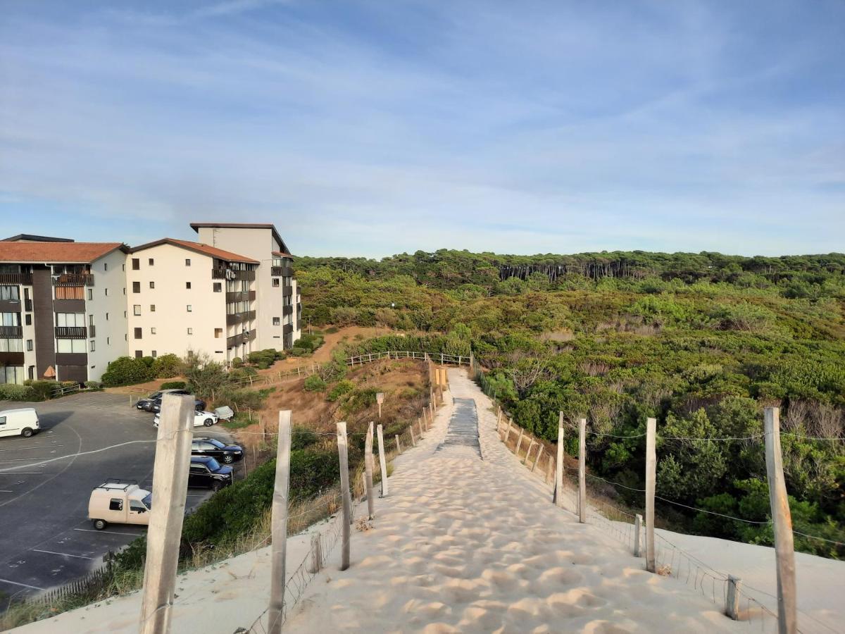 Joli T2 38 M2 Renove Idealement Situe Apartment *
